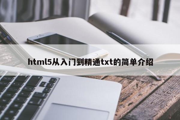 html5從入門(mén)到精通txt的簡(jiǎn)單介紹