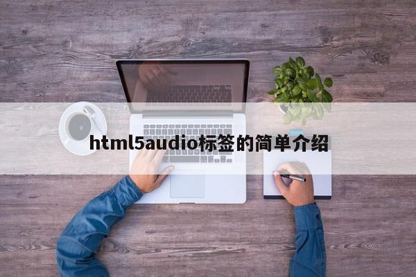 html5audio標(biāo)簽的簡單介紹