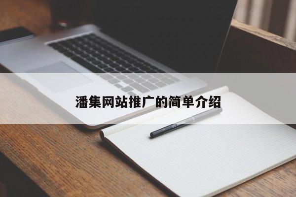 潘集網(wǎng)站推廣的簡單介紹