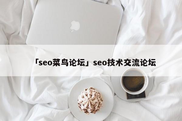 「seo菜鳥論壇」seo技術(shù)交流論壇