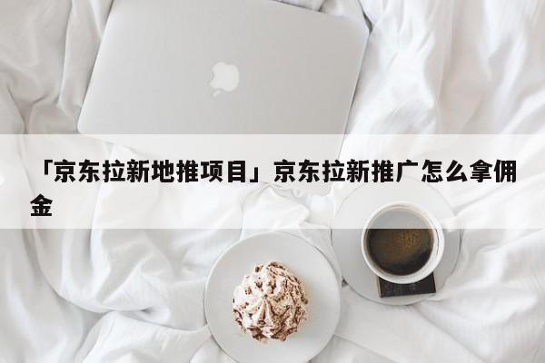 「京東拉新地推項目」京東拉新推廣怎么拿傭金